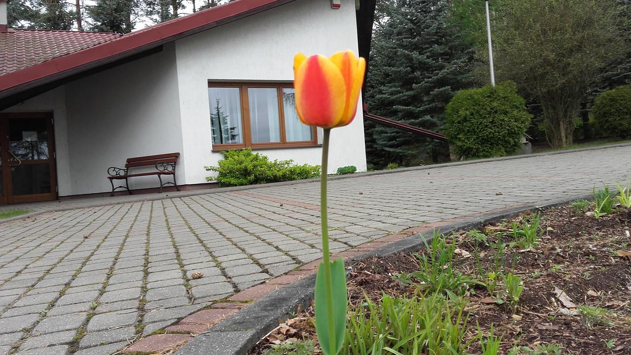 Osrodek Szkoleniowo - Wypoczynkowy Guzianka Hotel Ruciane-Nida Exterior foto