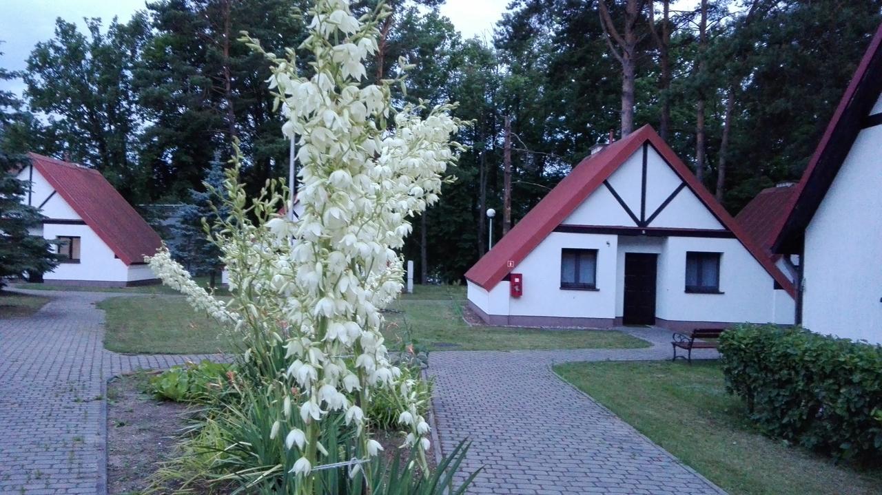 Osrodek Szkoleniowo - Wypoczynkowy Guzianka Hotel Ruciane-Nida Exterior foto